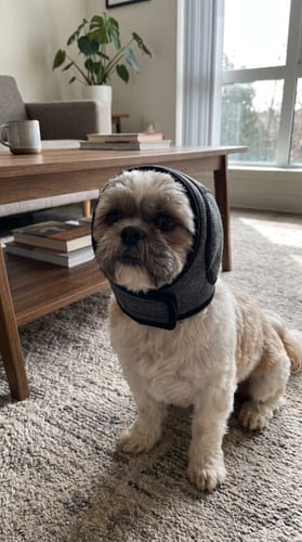 Klant en hond met Mypawsome oorkappen
